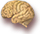 Brain Icon