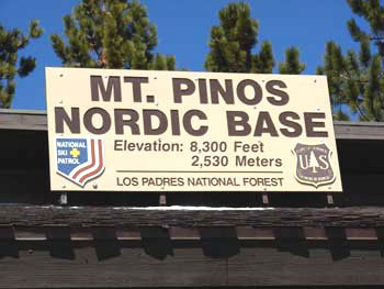 Mt. Pinos-Base Camp